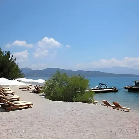 Philippos 2* 尼基亚娜