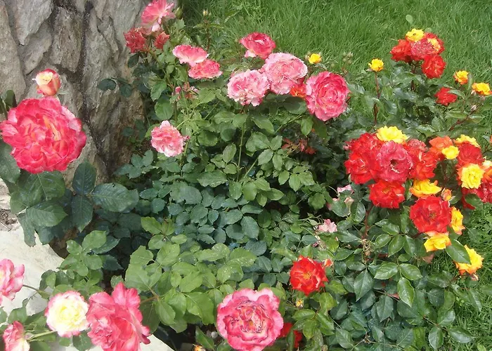 Philippos Lägenhetshotell Nikiana