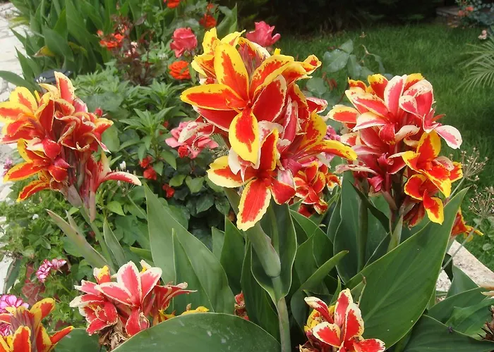 Lägenhetshotell Philippos Nikiana